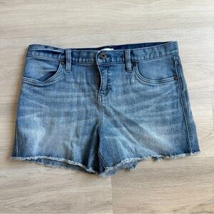 Denim Blue Women's Shorts size 8